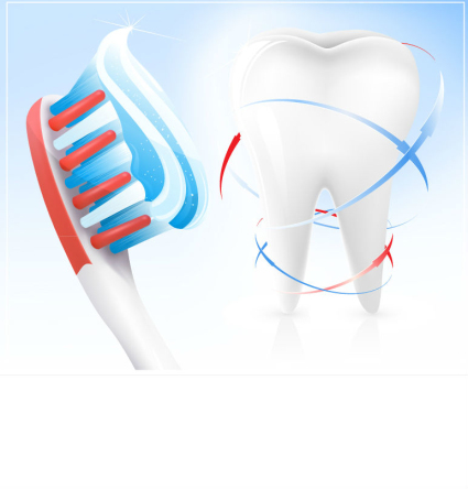 Tooth and toothbrush design vector material