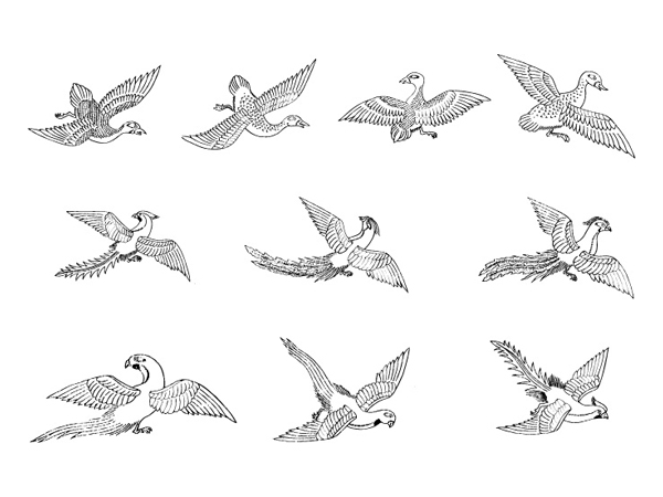 Phoenix Bird Vector 