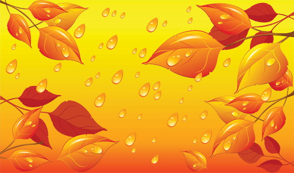 Leaves water 