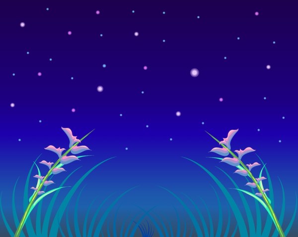 Sky vector 