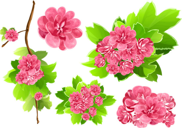 Flowers background 02 - vector material