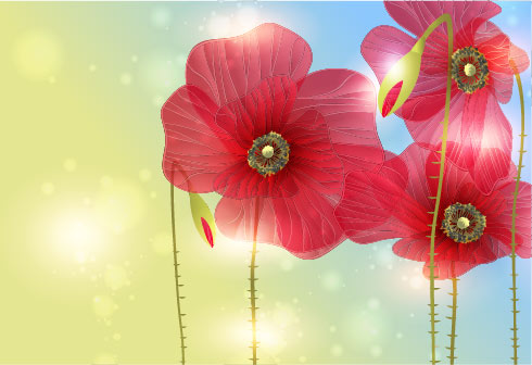 Exquisite flowers 05 - vector material