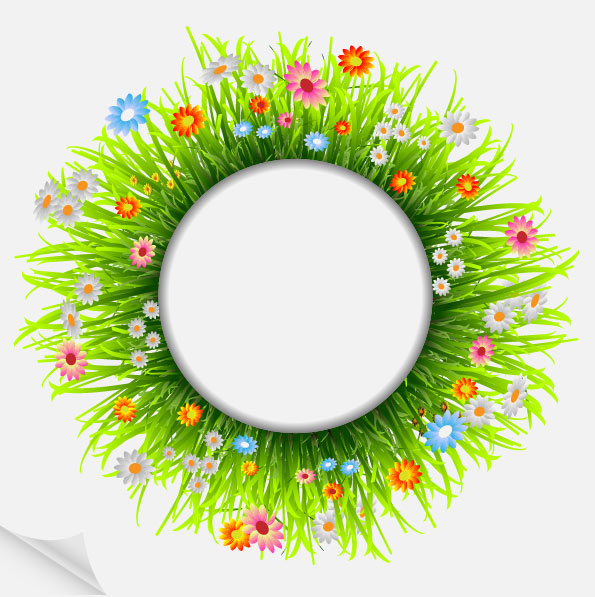 Plant 01 - Vector 