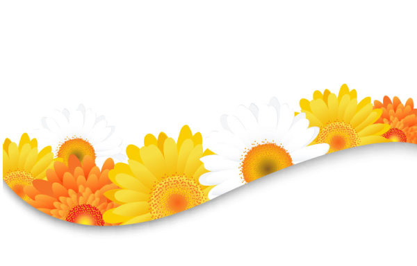 Flowers petals lace background 03 - vector material