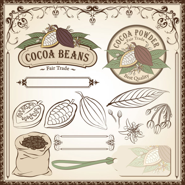 Fine line issued on cocoa beans - Vector