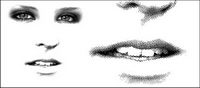 face vector