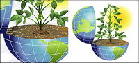 The vitality of the Earth vector material