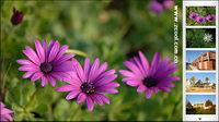 The focus of advertising picture flash + xml source material