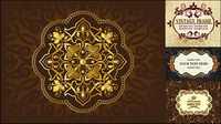 classic lace pattern vector material