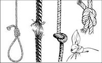 Rope - Results? Vector material