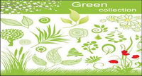Vector material plants