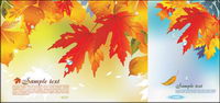 Vector background of the fall			