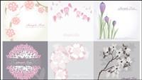 Pure flower background - vector material