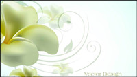 Text elegant lily design background vector material