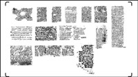 Influx of people must have produced vector material -1