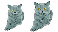 Animal material cat 02 - vector