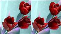 Vector Rose 01 - Vector