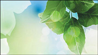 Dream plant vector background material -6