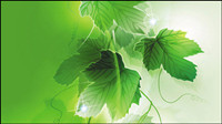 Dream Plant background vector material -5 