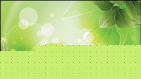 Dream Plant background vector material -3