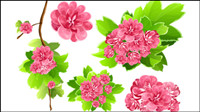 Flowers background 02 - vector material