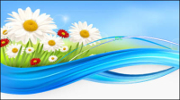 Daisy 01 - vector material 