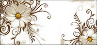Wild chrysanthemum and fashion pattern vector material