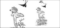 Magpie Lotus Vector