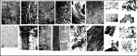 gomedia Chupin texture vector