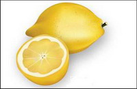 Vector Lemon