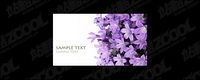 Purple lily picture quality material