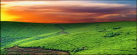 The vast field picture material