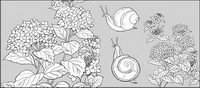 Line drawing of flowers -1