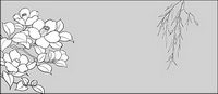 Line drawing of flowers -16