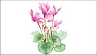 Elegant flower vector material