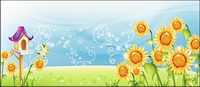 Sunflower scenery