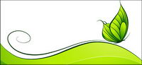 Green Butterfly
