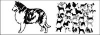 dogs