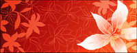 Lily flowers and line drawing vector background material