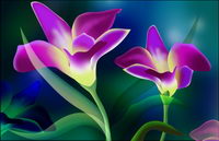 Super ultra-clear theme flower-2