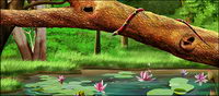 Forest lotus