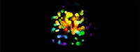 Color effects of flash-point source