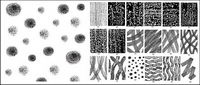 Texture Vector-019-036