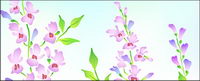 Vector scenery-4