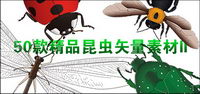 exquisite insects-2
