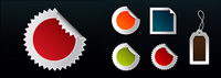 web2.0 style badges
