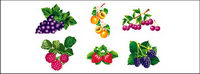 Texture of fruit