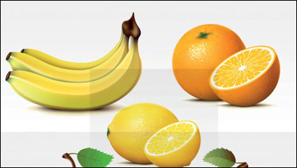 Vector fresh fruit		