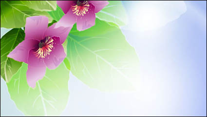 Beautiful flowers vector material -3