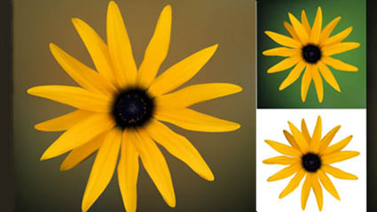 Small daisy vector 